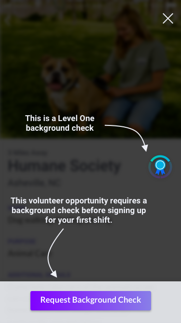 Tutorial screen for background check